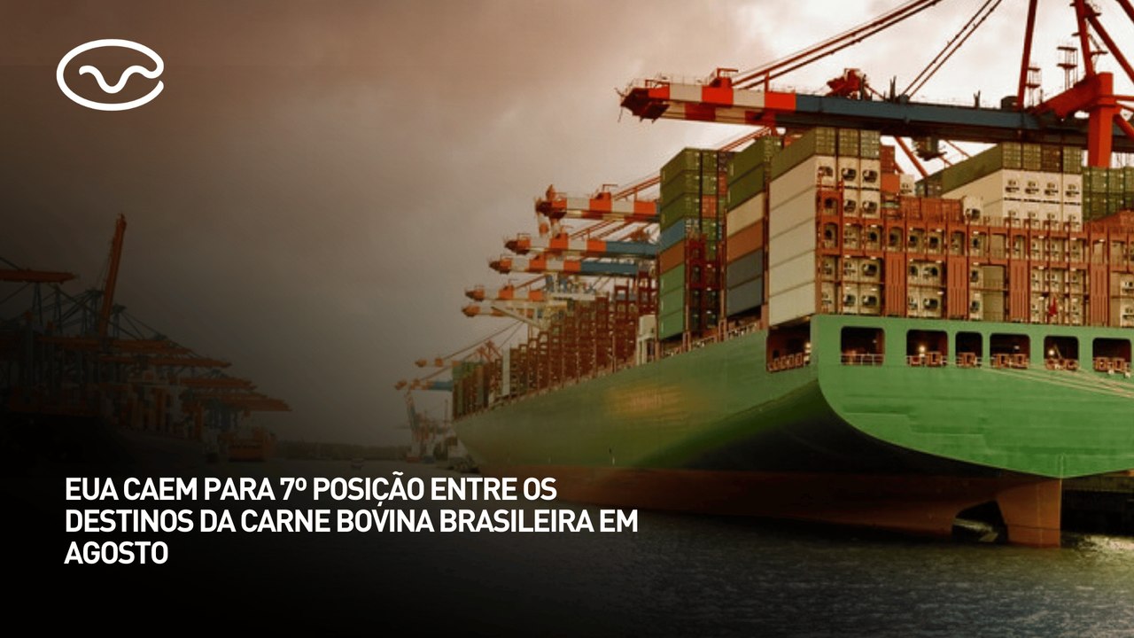 EUA caem para 7º posição entre os destinos da carne bovina brasileira em agosto