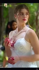 [Doblado ES] El Rey Alfa Es Mi Segundo Pareja Completo En Español #shortfilms