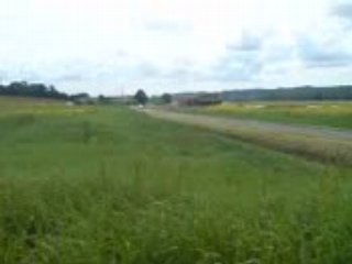 poupie chasselas 2008