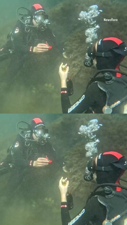 Diver Stages One-of-a-Kind Underwater Proposal in the Black Sea — Complete with Champagne