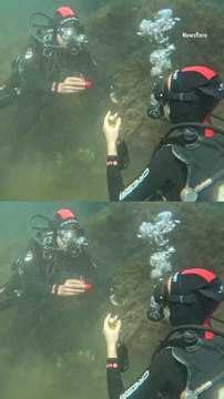 Diver Stages One-of-a-Kind Underwater Proposal in the Black Sea — Complete with Champagne