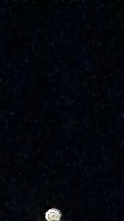 1000088834