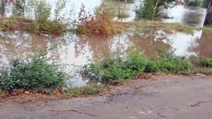 Water of flood in fields