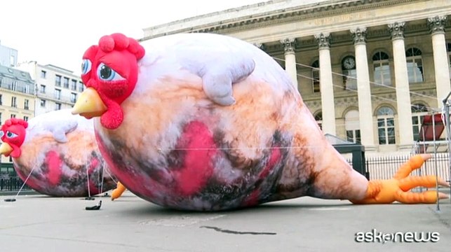 Parigi, polli gonfiabili giganti contro gli allevamenti intensivi