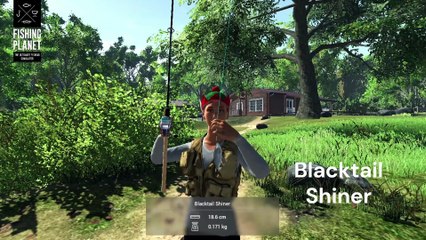 How to catch bluegill, channel catfish, spotted bass, grass pickerel, redear sunfish, white crappie, golden shiner and blacktail shiner in Lone Star Lake | Fishing Planete