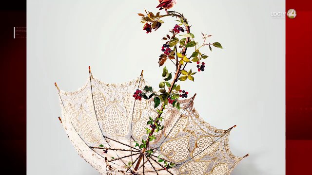 Dos miradas del cine llegan al Edificio Arroniz con el ciclo Cine al Estilo Jalisco