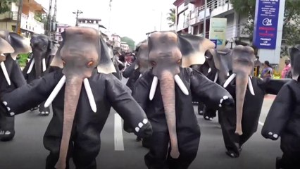 തൊഴിൽമേള, കയാക്കിങ് മത്സരങ്ങൾ... കരിയാട്ടം ഫെസ്റ്റിന് സമാപനം | Kariyattam Fest 2025