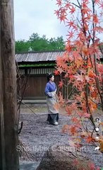 Reborn Agent Mother Of Fortune Chinese Drama - Full Drama Movies