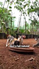 « Je voue mon quotidien aux animaux errants »  😻 Elle, c’est Myriam.