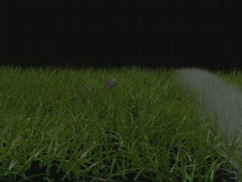 Rien ne sert de courir...