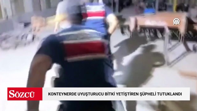 Konteynerde uyuşturucu bitki yetiştiren şüpheli tutuklandı