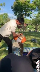 Antisocial cats😂😂