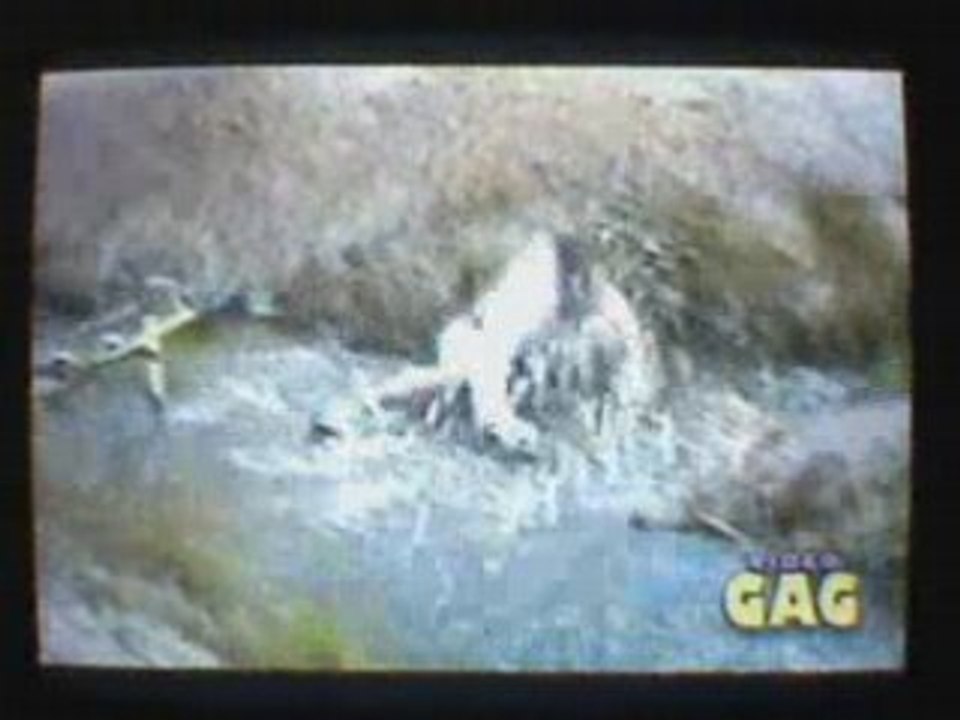 Video gag(1)