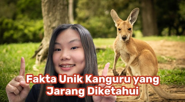 Fakta Unik Kanguru, Hewan Ikonik Australia yang Luar Biasa-Serius Ini Hewan?