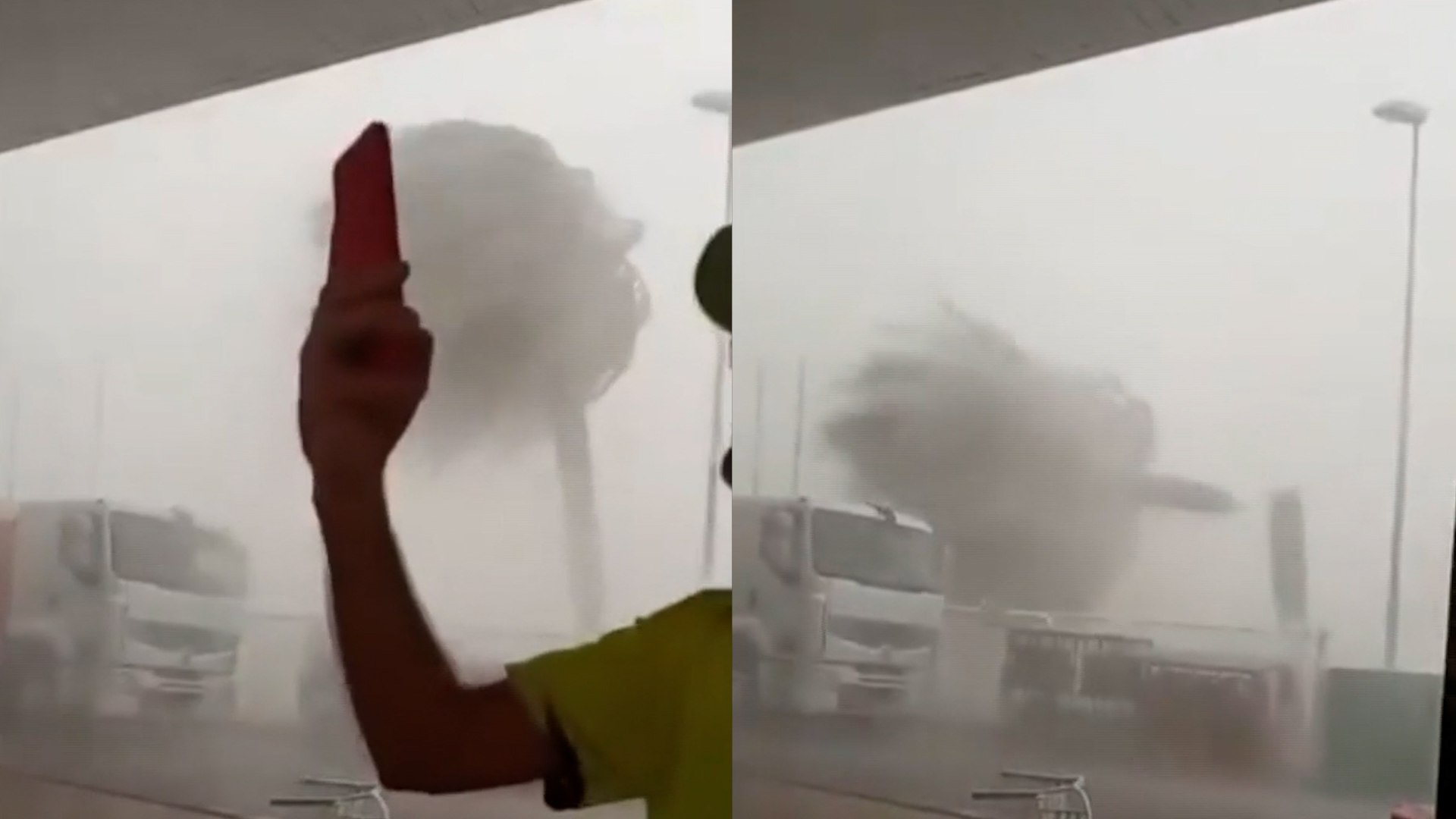 Palmeras enormes partidas en dos, caos en comercios, calles anegadas... Tormentas en el Mediterráneo