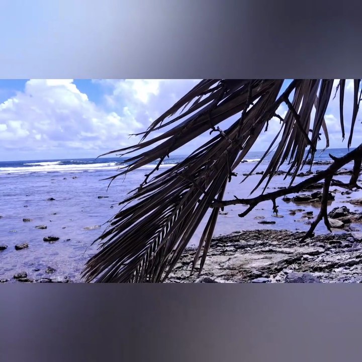 A beautiful beach day