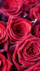 Flowers That Say ‘I Love You’ Without Words