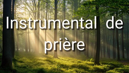 Relaxation Piano Music 🎶 - Calm & Soothing Instrumental for Meditation & Stress Relief