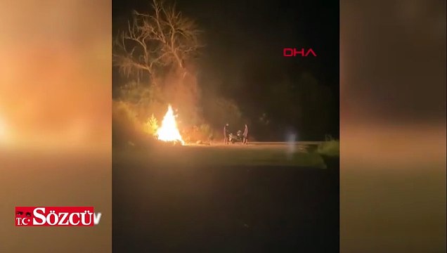 Ormanı ateşe verdiler; o anlar kamerada