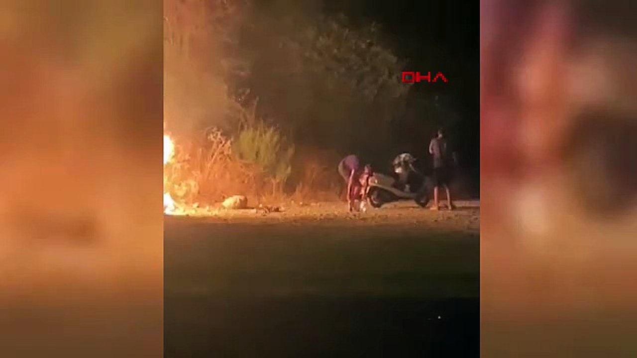 Ormanı ateşe verdiler!