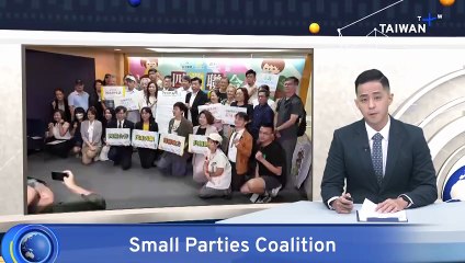Small Parties Form Coalition To Challenge Taiwan's Two-Party Deadlock