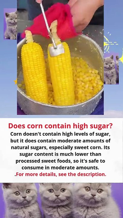 Does corn contain high sugar