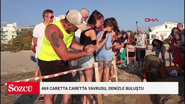 Aydın ve İzmir’de 9 yuvadan çıkan 469 caretta caretta yavrusu, denizle buluştu