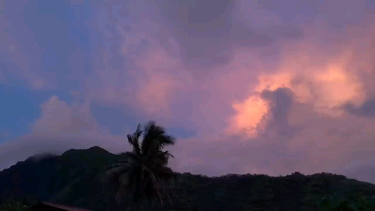 French vlog w subs 🇫🇷 My brother and I cooked on our island home 🌴🥥