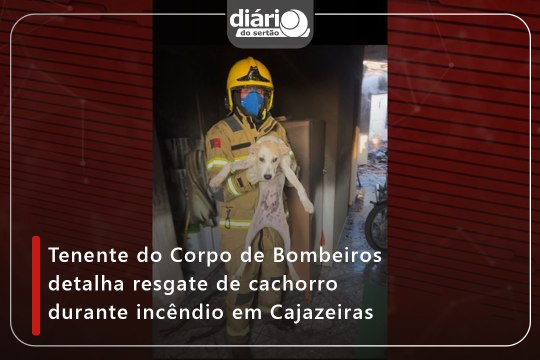 Tenente do Corpo de Bombeiros detalha resgate de cachorro em incêndio em Cajazeiras