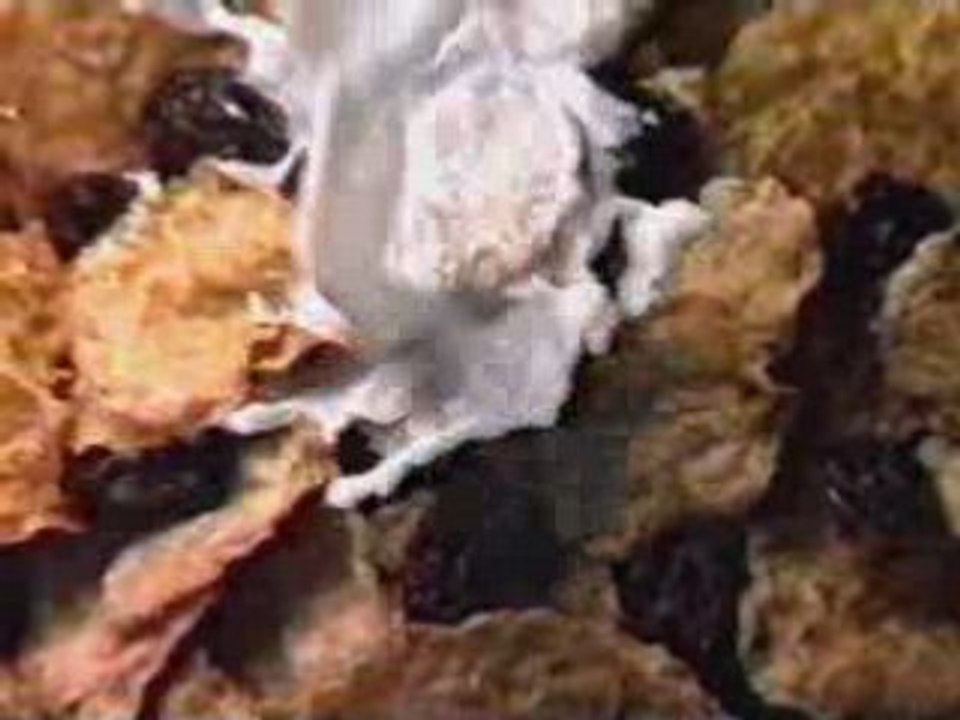 Crispy Wheats n' Raisins