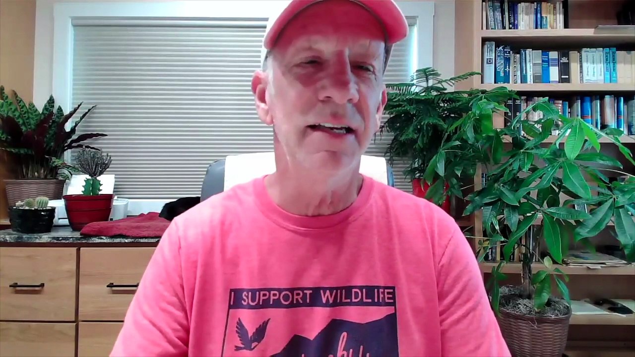 Five Fold or One Fold? The Myth of Restored Apostles and Prophets | Chino Ross | Podcast Episode 418