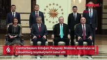 Cumhurbaşkanı Erdoğan, 4 ülkenin büyükelçisini kabul etti