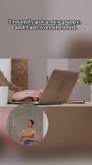 Pets & Accessories Platform_Dialogue  2025