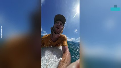 Surfer Wiped Out and Surrounded by Sharks