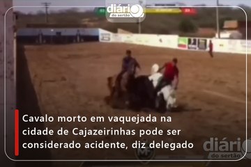 Cavalo morto em vaquejada na cidade de Cajazeirinhas pode ser considerado acidente, diz delegado