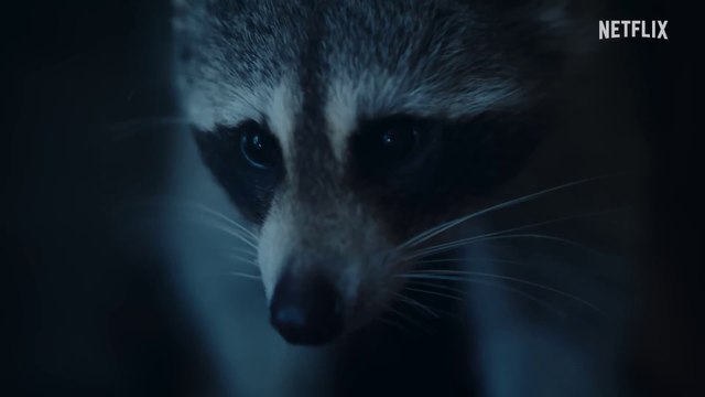 Nightmares of Nature - Official Trailer Netflix