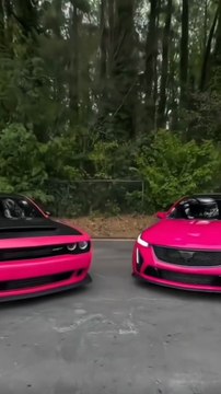 Album Dodge Hell Draw SRT Baode Car Author Will you change your brother to a slut cat after ten years of kidney deficiency? #Dog Hellcat#Dog Demon #Racing car #Sports cars