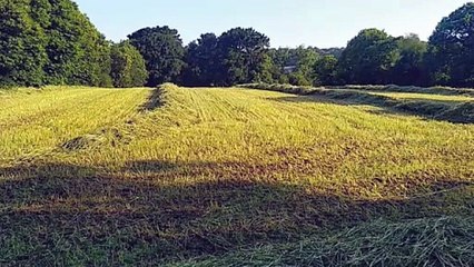 Kazel-ha-Kazel : Carnets de campagne