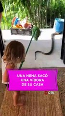 Una niña sacó a una víbora de su casa