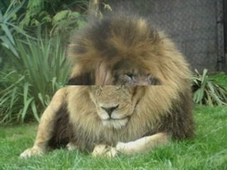 Conte kabyle( irath d wargaz)