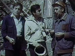 Yje mbi drin (1978)