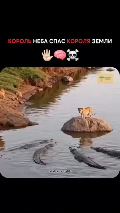 👍