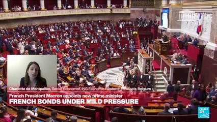 France 'not in a full-blown crisis', economist says, but investors will seek a risk premium