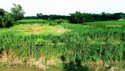 Paap Kahini (2025) - পাপ কাহিনী (২০২৫)