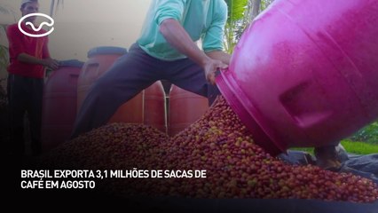 Brasil exporta 3,1 milhões de sacas de café em agosto
