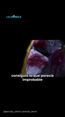 Talento cachanilla brilla en la escena del cine mexicano