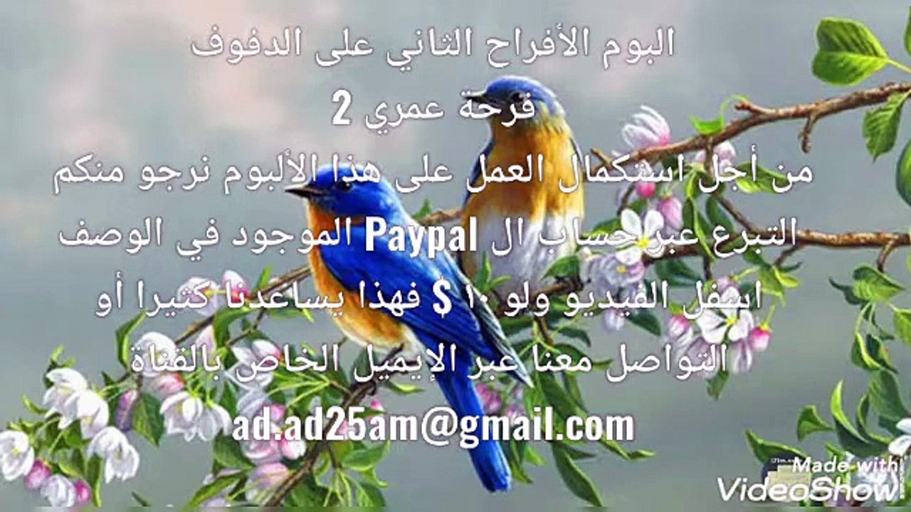 ٤ ... تهنى يا عريس من ألبوم الأفراح الثاني (فرحة عمري) على ألدفوف