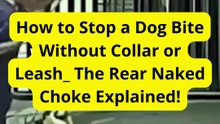 How to Stop a Dog Bite Without Collar or Leash_ The Rear Naked Choke Explained!