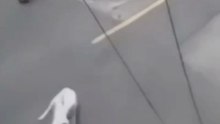 The Most Powerful and Dangerous Dog Bite Removal Technique You Must Know!