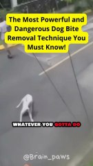 The Most Powerful and Dangerous Dog Bite Removal Technique You Must Know!